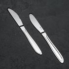 Нож столовый «Вираж», длина=20 см, толщина=2 мм, цвет серебряный - фото 317903246