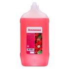 Мыло жидкое туалетное Ника «Земляника», канистра, 5 л - Фото 4