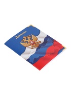 Дневник школьный для 1-11 классов, «Госсимволика России», мягкая обложка, 40 листов - Фото 12