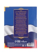Дневник школьный для 1-11 классов, «Госсимволика России», мягкая обложка, 40 листов - Фото 19