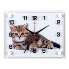 Часы настенные интерьерные «Котёнок», бесшумные, 20×26 см - Фото 1