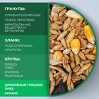 Кормовая смесь «Ешка» для хомяков, с орехами, 450 г - фото 9545773