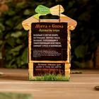 Набор «Мята и сосна» 2 эфирных масла 100% 15 мл - Фото 2