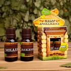 Набор «Эвкалипт и можжевельник» 2 эфирных масла 100% 15 мл - Фото 1