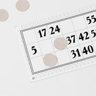 Русское лото «Классическое», 24 карточки, 90 бочонков, 96 фишек - Фото 7