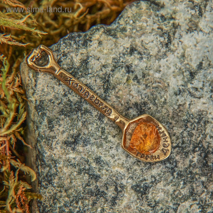 Сувенир кошельковый "Долларовая ложка загребушка", с натуральным янтарем - Фото 1