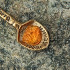 Сувенир кошельковый "Долларовая ложка загребушка", с натуральным янтарем - Фото 2