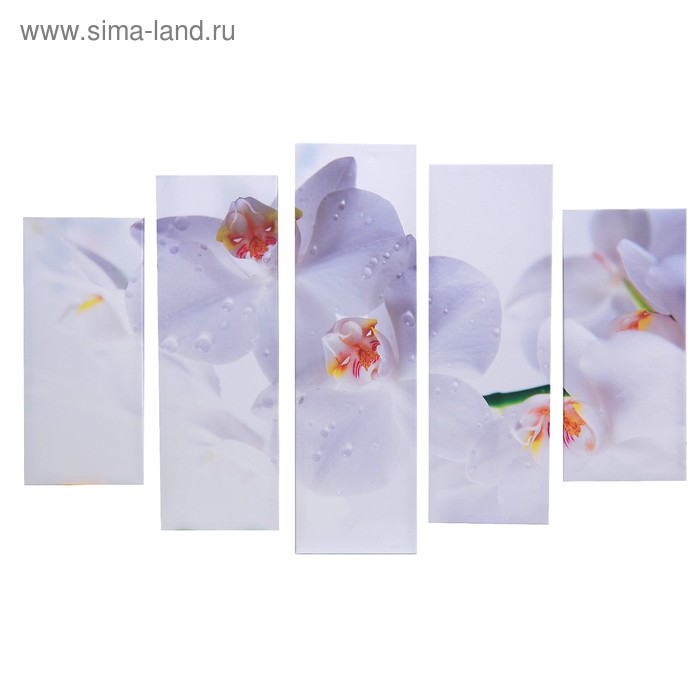 Картина модульная на подрамнике "Белые орхидеи" 115х80 см (80х23; 2-70х23; 2-53х23) - Фото 1