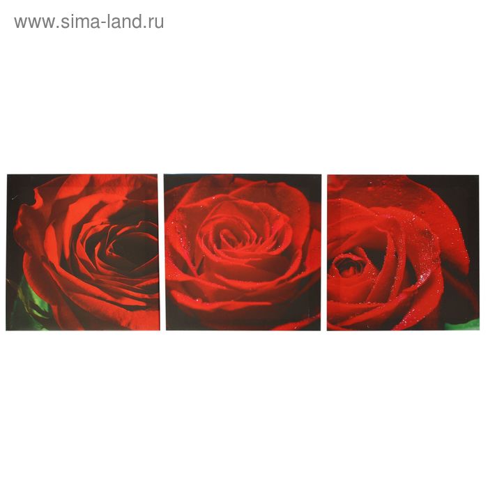 Картина модульная на подрамнике "Бутон розы" 3шт.-28*28см;   28х84см - Фото 1