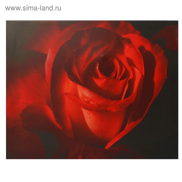 Холст "Роза" 40х50 см - Фото 1
