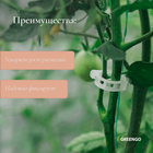 Клипса садовая, d=15 мм, набор 50 шт., Greengo - Фото 3