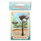 Магнит-открытка двусторонний «Воронеж» - Фото 3