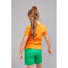 Комплект для девочки "Кузнечик", рост 98-104 см (26), цвет оранжевый/зелёный - Фото 2