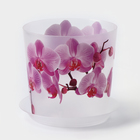 Горшок для орхидей с поддоном «Деко», 1,2 л - фото 20644268