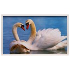Картина "Лебеди" 67х107 см рамка МИКС - Фото 12