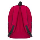 Рюкзак молодёжный "Круги", 1 отдел, 3 наружных и 2 боковых кармана, цвет малиновый - Фото 3