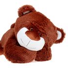 Мягкая игрушка "Медведь", цвета МИКС - Фото 4