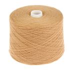 Пряжа в бобинах A-elita (Аэлита) 50% шерсть, 50% акрил (28 песочн.) - Фото 2