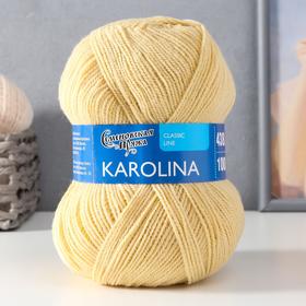 Пряжа Karolina (Каролина) 100% акрил 438м/100гр шамп_NEW (54029)