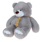 Мягкая игрушка «Медведь», цвета МИКС - Фото 6