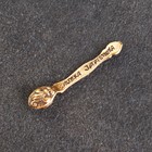 Сувенир кошельковый  "Ложка загребушка", с натуральным янтарем - Фото 2