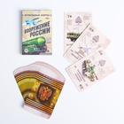 Карты игральные «Вооружение России», 36 шт., 16+ - Фото 2