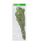 Веник для бани эвкалиптовый - Фото 1