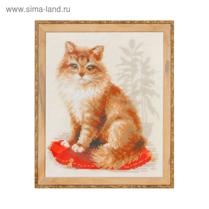 Набор для вышивания крестиком "Кошка домашняя" - Фото 1