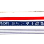Набор декоративных лент «Морской», (4 шт), 9 × 17,5 см - Фото 2