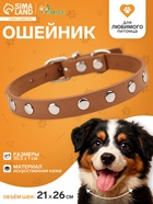 Ошейник «Пижон», 30.5×1 см, клёпаный, искусственная кожа, цвет МИКС - Фото 1