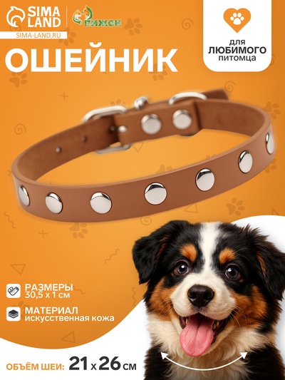 Ошейник «Пижон», 30.5×1 см, клёпаный, искусственная кожа, цвет МИКС