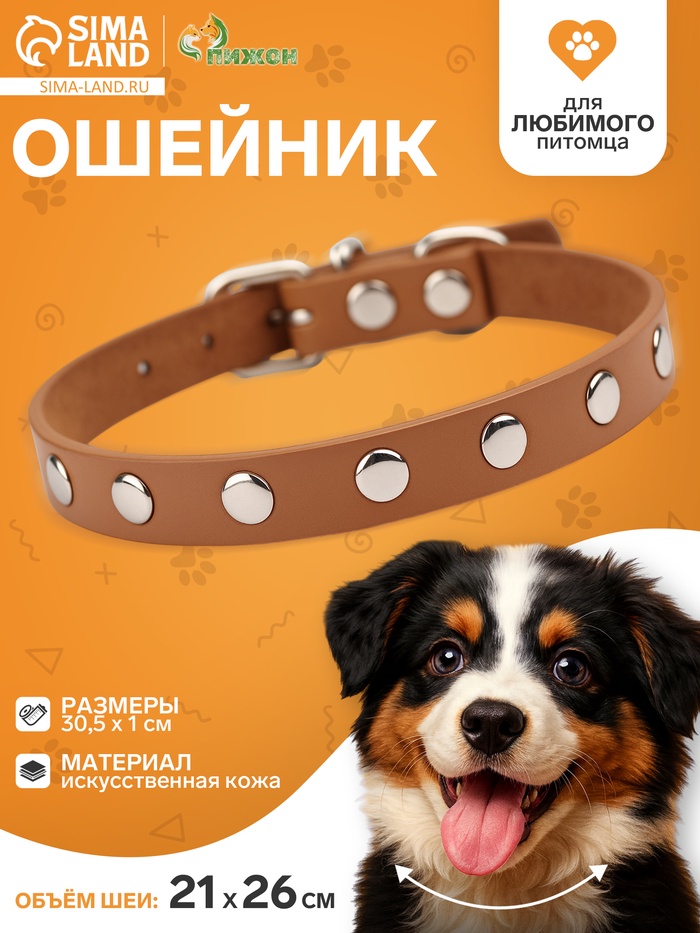 Ошейник «Пижон», 30.5×1 см, клёпаный, искусственная кожа, цвет МИКС - Фото 1