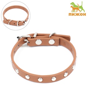 Ошейник «Пижон», 30.5×1 см, клёпаный, искусственная кожа, цвет МИКС