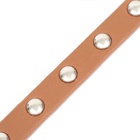 Ошейник «Пижон», 30.5×1 см, клёпаный, искусственная кожа, цвет МИКС - Фото 7