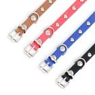 Ошейник «Пижон», 30.5×1 см, клёпаный, искусственная кожа, цвет МИКС - Фото 9