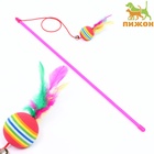 Дразнилка, 49 см, с цветным шариком и перьями, цвет палочки МИКС - Фото 2