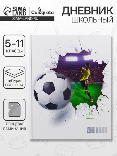 Дневник школьный для 5-11 классов, «Футбольный мяч», твёрдая обложка 7БЦ, глянцевая ламинация, 48 листов
