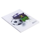 Дневник для 5-11 классов, "Футбольный мяч", твердая обложка 7БЦ, глянцевая ламинация, 48 листов - фото 8276325