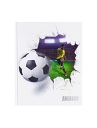 Дневник школьный для 5-11 классов, «Футбольный мяч», твёрдая обложка 7БЦ, глянцевая ламинация, 48 листов - Фото 3