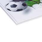 Дневник для 5-11 классов, "Футбольный мяч", твердая обложка 7БЦ, глянцевая ламинация, 48 листов - Фото 4