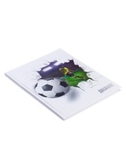 Дневник школьный для 5-11 классов, «Футбольный мяч», твёрдая обложка 7БЦ, глянцевая ламинация, 48 листов - Фото 4