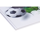 Дневник школьный для 5-11 классов, «Футбольный мяч», твёрдая обложка 7БЦ, глянцевая ламинация, 48 листов - Фото 5