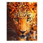 Дневник для 5-11 классов, "Леопард", твердая обложка 7БЦ, глянцевая ламинация, 48 листов - фото 317905122