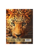 Дневник школьный для 5-11 классов, «Леопард», твёрдая обложка 7БЦ, глянцевая ламинация, 48 листов - Фото 9