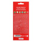 Карандаши 12 цветов ErichKrause ArtBerry премиум, дерево, трехгранные, 3.0 мм грифель, картонная упаковка, европодвес - Фото 6