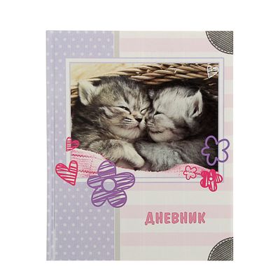 Дневник для 1-4 класса «Кошечки», твёрдая обложка, глянцевая ламинация, 48 листов