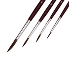 Набор кистей Пони 4 штуки Erich Krause, круглые № 2, 4, 6, 8, в блистере - Фото 7