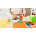 Фломастеры 12 цветов BIC Kids Visa, детские, смываемые, тонкое письмо - Фото 13