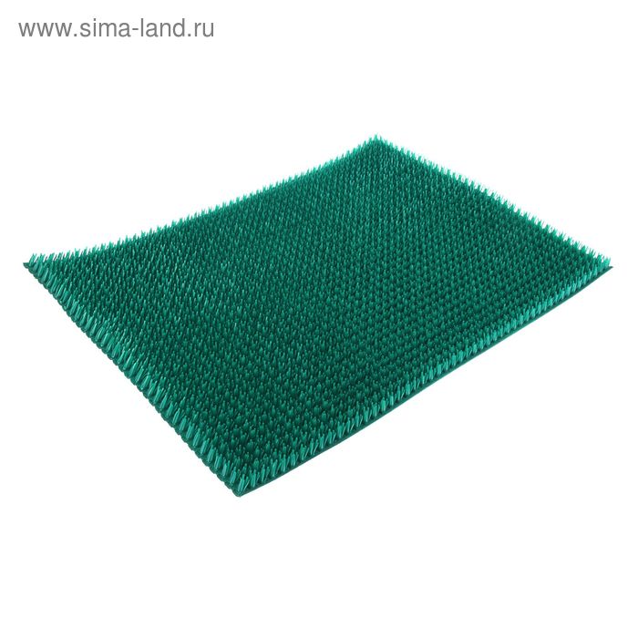 Покрытие ковровое щетинистое «Травка», 45×60 см, цвет аквамарин - Фото 1