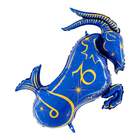 Шар фольгированный 42" "Знак зодиака Козерог", цвет синий - Фото 1